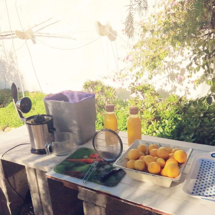 Casa Mimosa Bed & Breakfast São Brás de Alportel Dış mekan fotoğraf