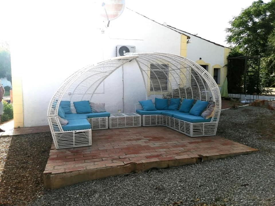 Casa Mimosa Bed & Breakfast São Brás de Alportel Dış mekan fotoğraf