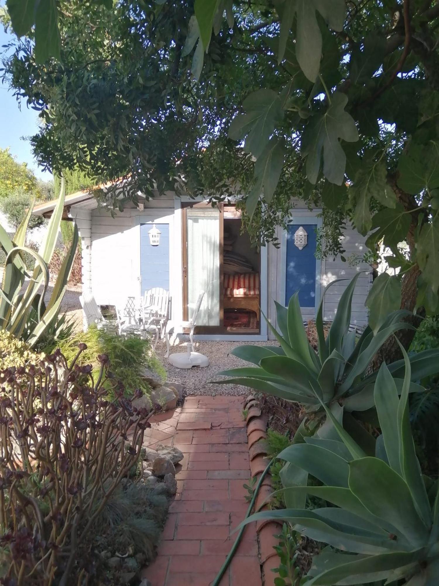 Casa Mimosa Bed & Breakfast São Brás de Alportel Dış mekan fotoğraf