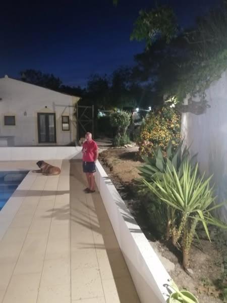 Casa Mimosa Bed & Breakfast São Brás de Alportel Dış mekan fotoğraf
